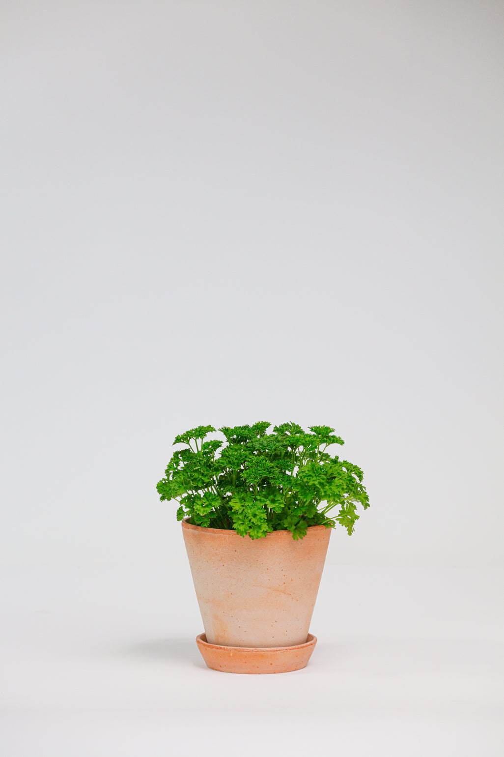 products/SotoProductShootLowQ-1711.jpg
